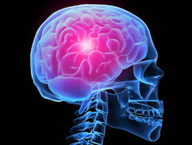 creier de formare cu ultrasunete, de examinare, transcriere, preturi