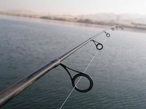 Selectarea undițe pentru pescuit pentru incepatori - float tija, alimentator, filare