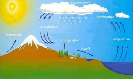Tipuri de precipitații și metode de educație