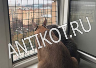 Paddock pe fereastra pisica (balcon) la Moscova