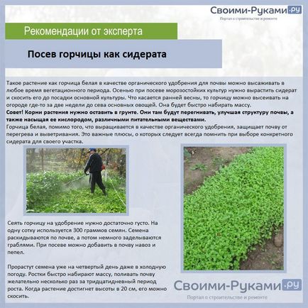 Cultivarea cartofilor din paie (cartof) Cultivarea cartofi din paie