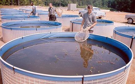Cultivarea de pește în bazine