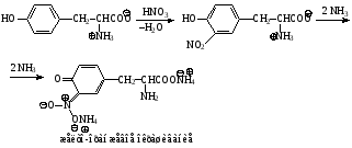 Proprietățile chimice ale aminoacizilor