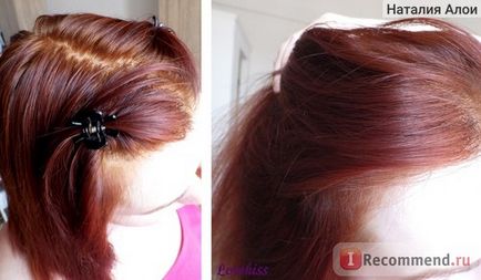 Henna pentru ceai de păr Henne rosso Tiziano piatra (Lawsonia inermis) - «♥ ♥ henna indian noi dragoste (Lawsonia) Henna pentru ceai de păr Henne rosso Tiziano piatra (Lawsonia inermis) - «♥ ♥ henna indian noi dragoste