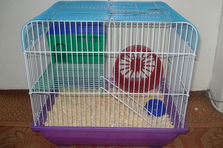 hamster sirian, rozătoare inteligente