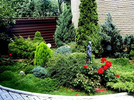 Coniferele în design peisaj zonă suburbană, casa frumoasă și grădină
