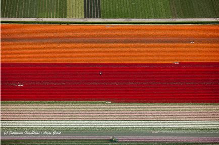 fotografii genuri