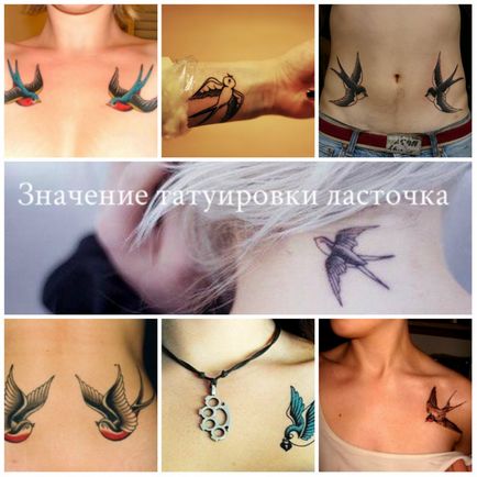 Înțeles rândunică tatuaj - sensul, istorie și tatuaj fotografie