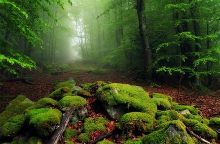Peisaje cu mâinile lor Peisaje cu mâinile lor