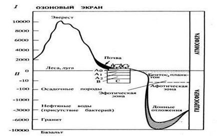 Ce este o substanță inertă Ce este o substanță inertă