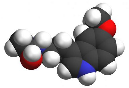 Hormonul melatonină