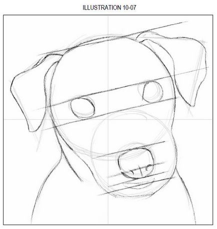 lecții de desen Câine