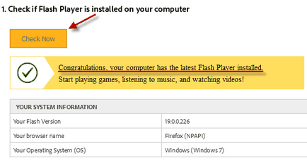 Cum se instalează plugin-ul Flash