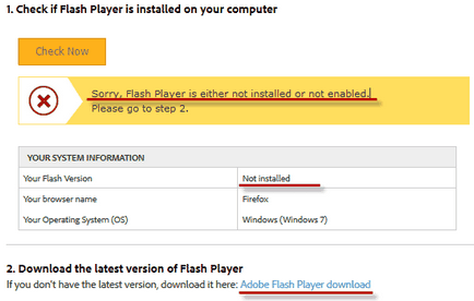 Cum se instalează plugin-ul Flash