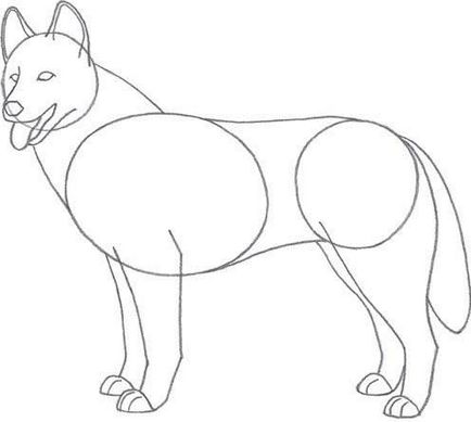 lecții de desen Câine