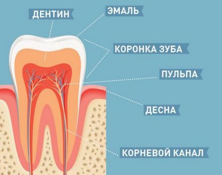 Omoara nervul în dinte decât