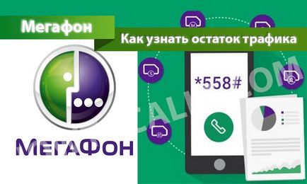 De unde știi megafon traficul pe Internet De unde știi megafon traficul pe Internet