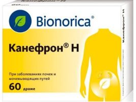 Ce poate înlocui kanefron Ce poate înlocui kanefron