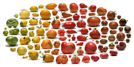Cel mai delicios varietate de tomate
