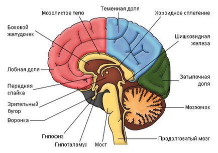 Nistagmus ce este