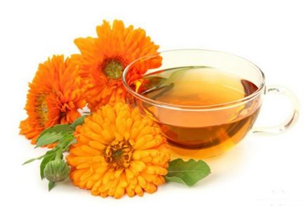 Calendula pentru a trata Calendula pentru a trata