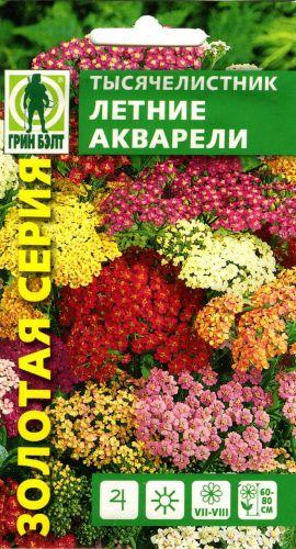 Yarrow din cultivarea semințelor de