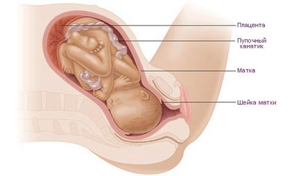 Cum de a accelera dilatare de col uterin