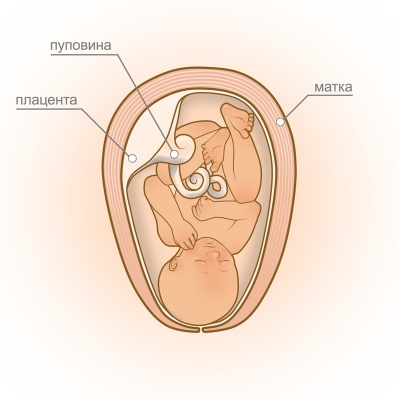 Tonul uterului simptome asemanatoare