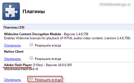 Cum se instalează plugin-ul Flash Cum se instalează plugin-ul Flash