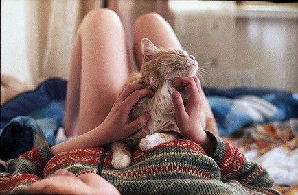 5 moduri de a face pisica afectuos - pisici în jurul valorii de