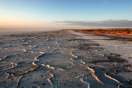 Marea Aral și cauza morții sale