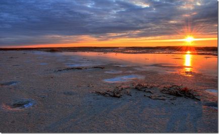 Marea Aral și cauza morții sale