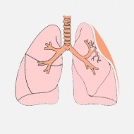 Cauzele atelectazie pulmonare, simptome, tratament