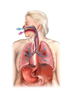 Cauzele atelectazie pulmonare, simptome, tratament