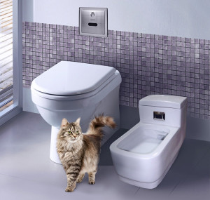WC automat pentru pisici, comentarii, evaluări și preț
