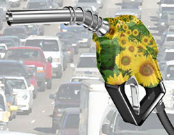 Biodiesel mâinile proprii