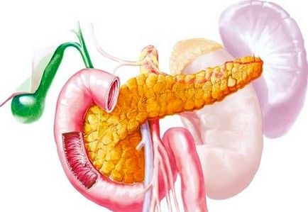 Pancreatică bolii Simptomele Tratamentul