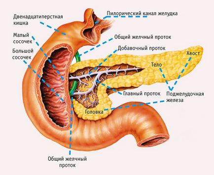 Durere in pancreas decat elimina durerea, cauzele sindromului