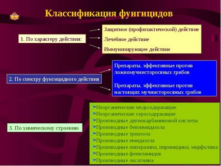 Combaterea ciupercilor pe pereții din clădire, construcții și populare remedii