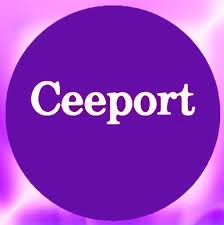 Ceeport - 1 instrument în aer liber, școală Olgi Pol