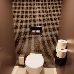 Cum de a decora un perete în opțiunile de toaletă de materiale de finisare