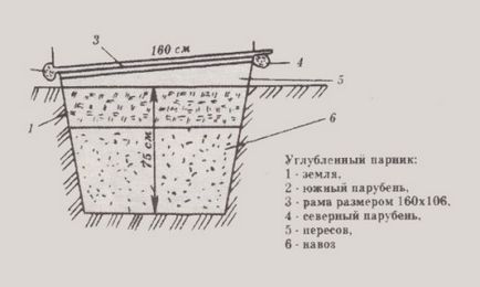 Ceea ce este diferit de construcție cu efect de seră cu efect de seră, dimensiunea, încălzire