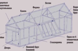 Ceea ce este diferit de construcție cu efect de seră cu efect de seră, dimensiunea, încălzire