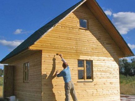 Cum să picteze o casă din lemn în afara vopsea și culoare