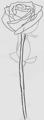 Prin obiectivul ca un creion pentru a desena un trandafir