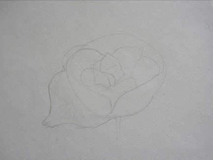 Prin obiectivul ca un creion pentru a desena un trandafir