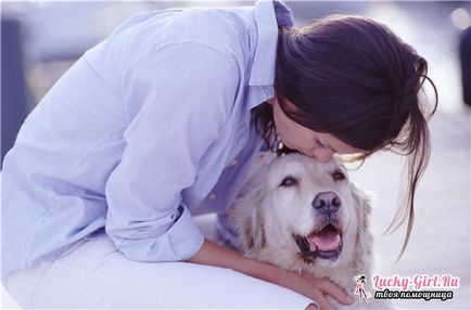 Ce se întâmplă dacă câinele provoacă ochi purulente, tratament și elementele de bază de prim ajutor