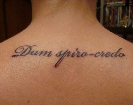 Ce să scrie pe tatuaj - Portal