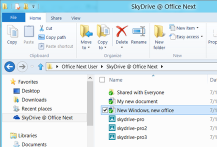 Ce este pro SkyDrive