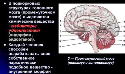 Ce se produce endorfina când și cum să se îmbunătățească în organism